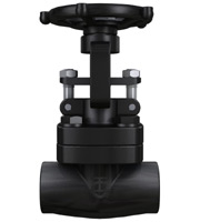 Z11鍛鋼閘閥