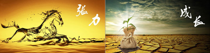 企業(yè)發(fā)展要學(xué)會取他人之長、補(bǔ)自己之短
